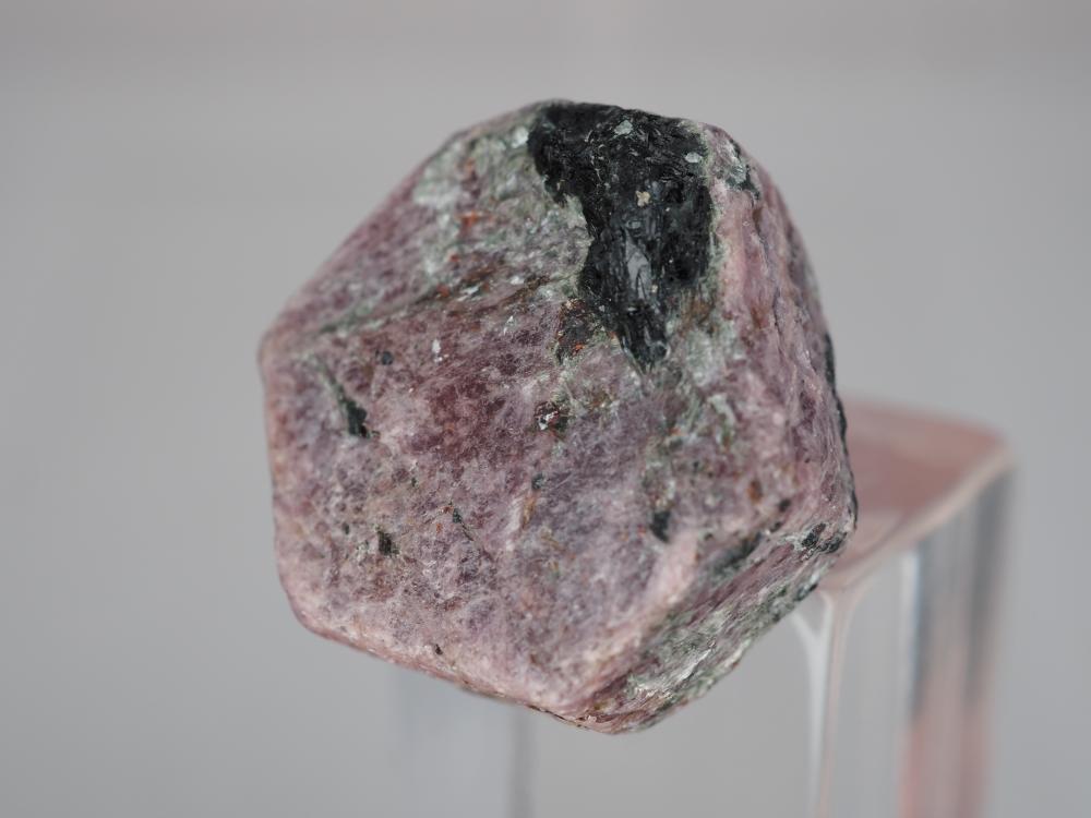 Magnesiotaramite on Ruby